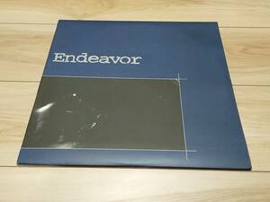 【レコード】ENDEAVOR●Crazier Than A Shit house Rat ハードコア パンク