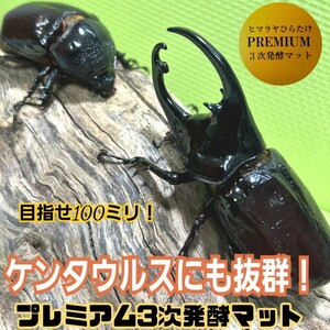 ケンタウルスにも抜群　ギネス狙いに！　進化した！プレミアム3次発酵カブトムシマット【60L】特殊アミノ酸・バクテリア強化配合！産卵にも