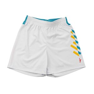 1580238-InThePaint/SHORTS バスケットショーツ バスケットパンツ/XL