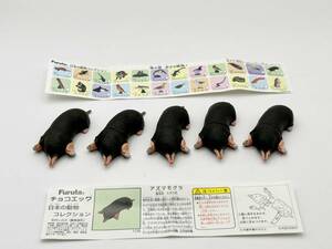 〓FURUTA フルタ〓チョコエッグ 日本の動物 第4弾 アズマモグラ 大量処分5点まとめ売り @食玩 フィギュア 海洋堂