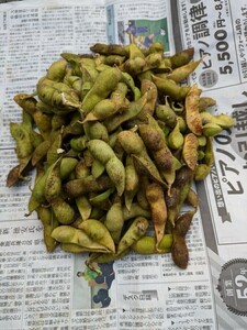 完熟 丹波篠山市産 黒枝豆 さやのみ ８００g④