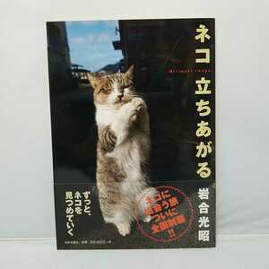 日本出版社 ネコ立ちあがる ニッポンの猫写真集