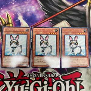 遊戯王　レスキューラビット　PHSW-JP037 レア　3枚セット