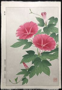 木版画 河原崎奨堂【朝顔】芸艸堂 大判 彫長島 摺吉田 真作保証 ■ 浮世絵 新版画 植物画 Ukiyoe