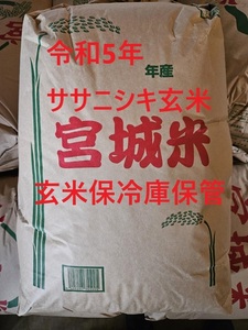 令和5年収穫★本場の宮城県産★ササニシキ玄米30キロ★減農薬栽培★玄米保冷庫保管品