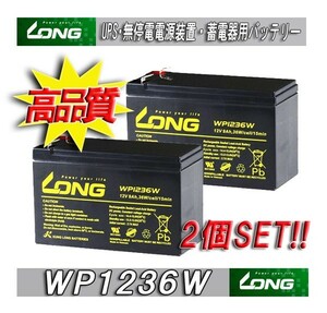 WP1236W 2個SET RS900適合 無停電電源装置・蓄電器用バッテリーSmart-UPS3000RM適合 LONGシールドバッテリー