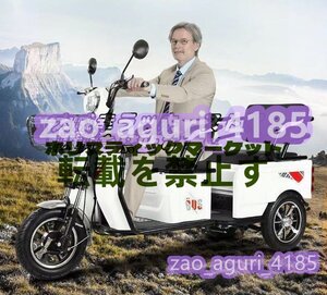 強くお勧め 高齢者向けの電動三輪車 家庭用 三輪車レジャー旅行ショッピング通勤用 F1161