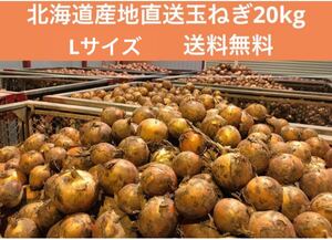 北海道産地直送たまねぎ20kg Lサイズ