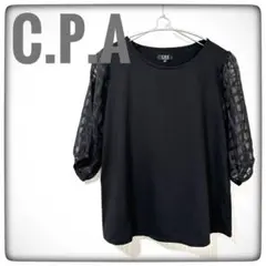 【美品】CPA/シアーチェックトップス/レディースM/七分袖