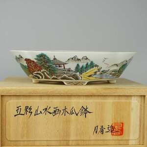 月香 箱付 五彩 山水画 木瓜鉢 観賞用 盆栽鉢 現品 新品