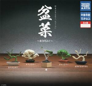 ▲-□　(即決]　ガチャ　盆菜　～ BONSAI ～　野菜の生み出す「わびさび」　( 全５種セット )