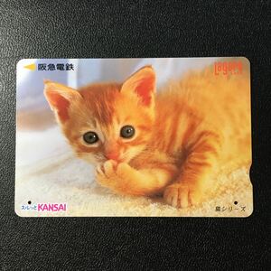 2000年5月1日発売柄ー猫シリーズ「おすまし」ー阪急ラガールカード(使用済スルッとKANSAI)