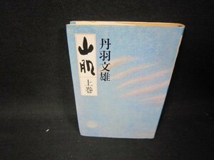 山脈　上巻　丹羽文雄　シミ有/RCG