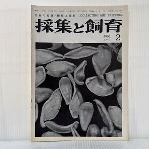 採集と飼育 1968年2月号★ビワオオウズムシ世界最大の淡水プラナリアとして知られている/プラナリア特集/生物の知識・観察と実験/動植物