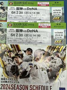 阪神甲子園球場 グリーンシート　阪神対横浜