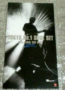 8cmCD　TOKYO NO1 SOUL SET/WILLING OR NOT/未開