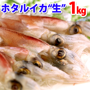 ★プリッとした歯ごたえと独特の旨み★　 ホタルイカ（生冷凍ほたるいか）約1kg（約250g×4パック）