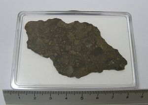 価格交渉可　月隕石(NWA8455： Lunar Feldspathic Breccia)送料込