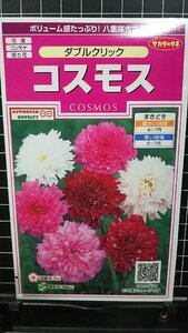 ３袋セット コスモス ダブルクリック 八重 秋桜 種 郵便は送料無料