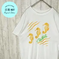 海外古着　sunse 半袖Tシャツ アメカジ　サーフ　ビーチ　フェード感