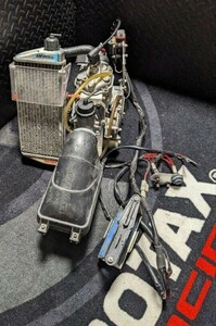 コンプリート　ROTAX MAX seniorエンジン　Lights　125cc レーシングカート