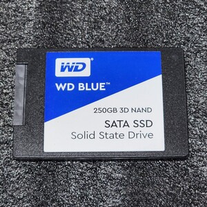 WesternDigtal WD BLUE 3D NAND(WDS250G2B0A-00SM50) 250GB SATA SSD 正常品 2.5インチ内蔵SSD フォーマット済 動作確認済 240GB 250GB