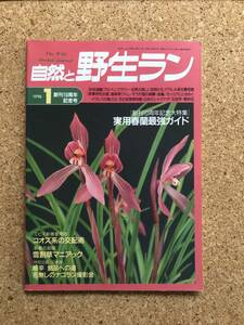 自然と野生ラン 1996年1月号　※ 雪割草 ナゴラン 春蘭 錦蘭 イワヒバ ※ 園芸JAPAN