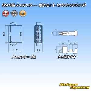 JST 日本圧着端子製造 SM 6極 メスカプラー・端子セット (プラグハウジング)