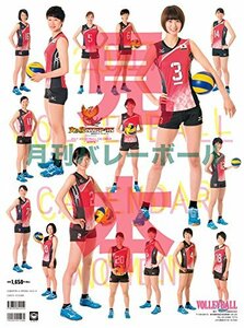 ★送料無料★火の鳥Nippon 全日本女子バレー 2017年カレンダー/木村沙織 迫田さおり 宮下遥 江畑幸子 石井優希 古賀紗理那 長岡望悠/