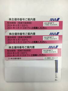 送料無料 ANA 全日空 株主優待 24年6月1日〜25年5月31日 ３枚