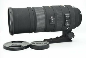 SIGMA/シグマ DG 150-500mm 1:5-6.3 APO HSM ニコン用 望遠レンズ カメラ レンズ