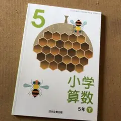 小学　算数　5年生