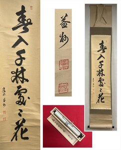 【千寿】大徳寺派 祥瑞寺 竹田益州 春入千林処々花 自筆 一行書 紙本 d1031◆在銘 箱 茶掛 掛軸 掛物 茶道具 100033052　