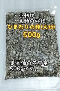 アメリカ産 ひまわりの種 500g 大粒 小動物 鳥類 ハムスターのおやつ インコ