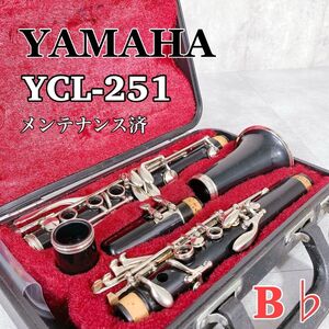 Y236【業者メンテナンス済】YAMAHA ヤマハ YCL-251 B♭クラリネット 木管楽器 吹奏楽器 楽器