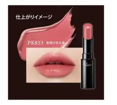 PK853 夜明けの人魚　Visee(ヴィセ)　ネンマクフェイク ルージュ 口紅