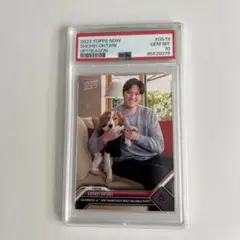 PSA10 鑑定済 大谷翔平 デコピン Topps now Ohtani MVP