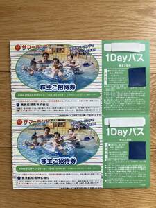 【即決／送料無料】サマーランド１Dayパス 2枚セット／夏期OK／株主ご招待券 東京都競馬 プール 入場 フリーパス