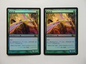 バイン　MTG 極楽鳥/Birds of Paradise foil M12 日本語4枚