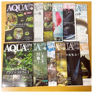 【美品】月刊アクアライフ2020年　1月ー12月　全巻12冊　まとめ売り　アクアリュウム　熱帯魚　めだか