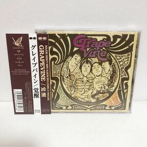 中古CD★GRAPEVINE / 覚醒 ★