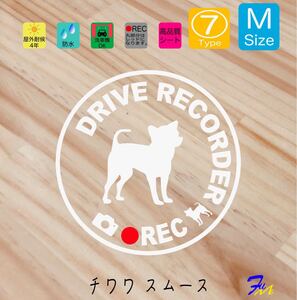 チワワスムース ドラレコステッカー 07 Mサイズ 文字(書体) 4種類から選べる 全28色 #drFUMI #dFUMI #ddFUMI #ddFUMIチワワ #ドラレコ