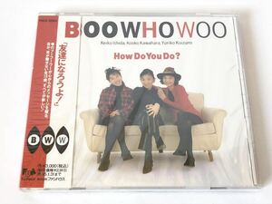 未使用 見本盤/ BOO WHO WOO ブーフーウー HOW DO YOU DO? 友達になろうよ！