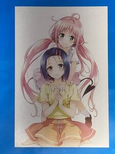  To LOVEる　とらぶる　 原画展 ポストカード　ｃ8 （検索） ヤミ ララ モモ　美柑 春菜 ナナ 唯　メア