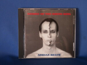 送料無料 Desire of the Rhino King エイドリアン・ブリュー ADRIAN BELEW