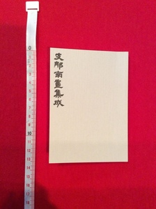 rarebookkyoto　4090　丸孫文庫【豆本】支那南畫集成　第二輯 明朝 清朝 文人画 八大山人 揚州八怪 京陵　石濤 宮廷画 藍瑛 四王呉惲 水墨