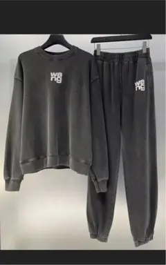 Alexander wang セットアップ