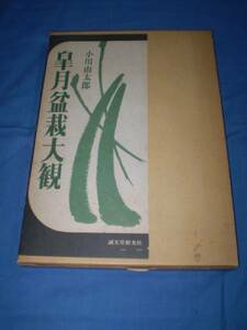 ★皐月盆栽大観　誠文堂新光社 刊 　小川 由太郎 著 初版 BONSAI