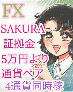 超安定型　FX自動売買EA月利30% 安心して運用できます。　