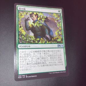 夏の帳　ギャザリング mtg 2020